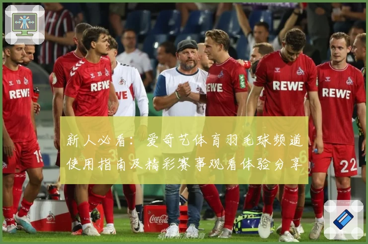 新人必看：爱奇艺体育羽毛球频道使用指南及精彩赛事观看体验分享