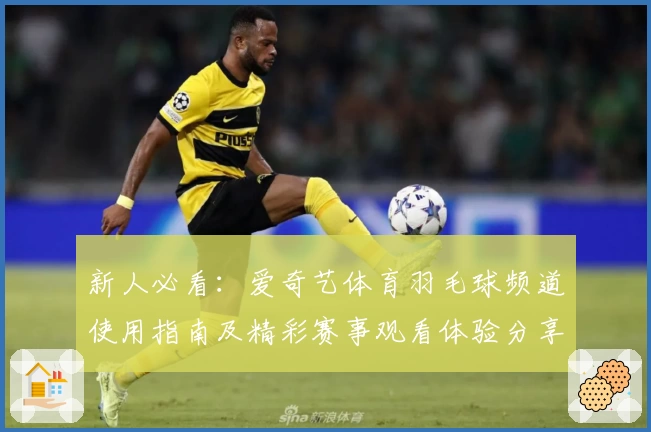 新人必看：爱奇艺体育羽毛球频道使用指南及精彩赛事观看体验分享