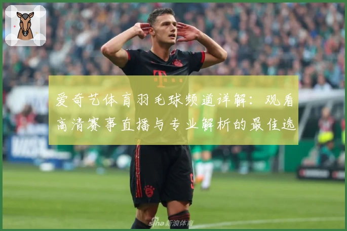 爱奇艺体育羽毛球频道详解：观看高清赛事直播与专业解析的最佳选择