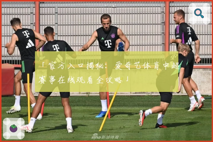 「官方入口揭秘：爱奇艺体育中超赛事在线观看全攻略」