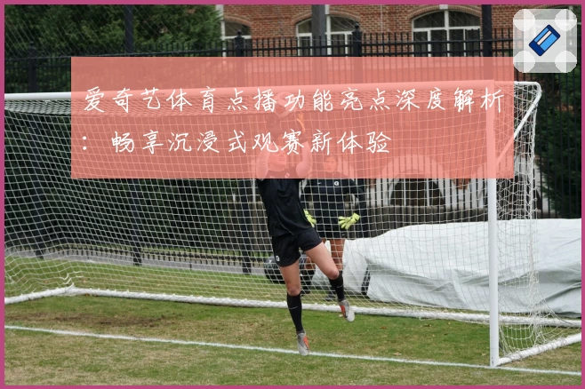 爱奇艺体育点播功能亮点深度解析：畅享沉浸式观赛新体验